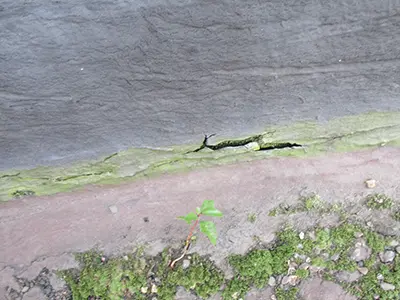 Commercial Repairs - Elite Roof Systems