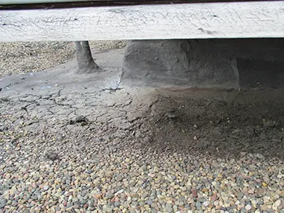 Commercial Repairs - Elite Roof Systems